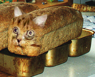 Introducing Breadcat