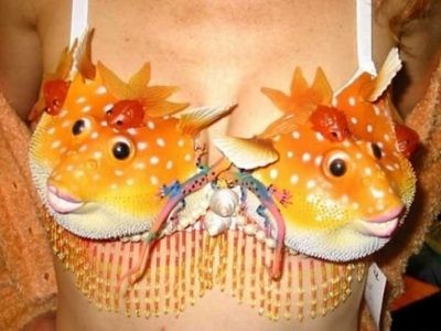 Blowfish Bikini