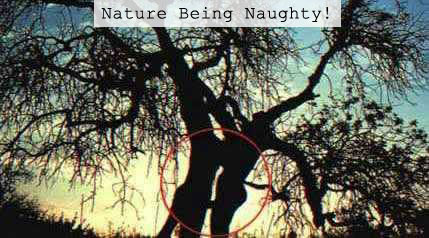 Nature Being Naughty