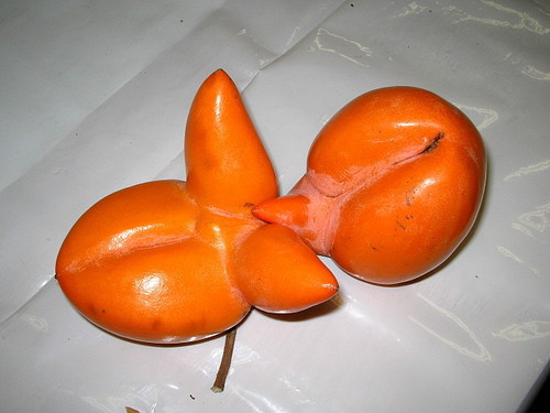 Weird Sexy Fruit