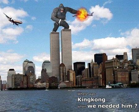 King Kong 911