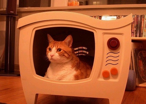 Kitty TV