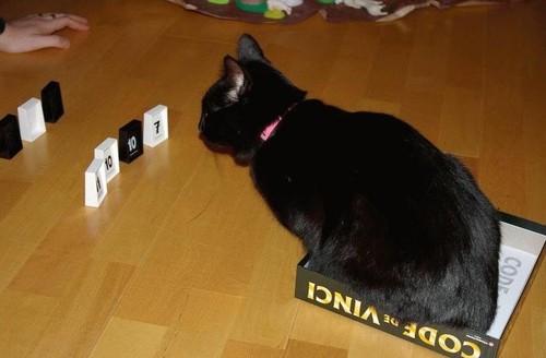 Game Playing Kitty