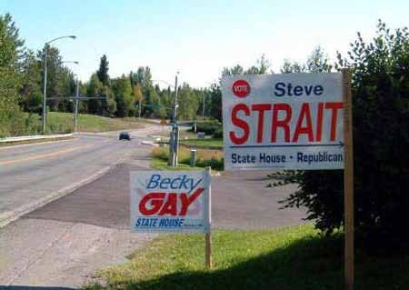 straight or gay, who will you vote for?