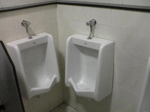 Dual Urinals