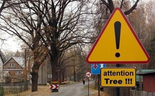 Watch Out for Tree