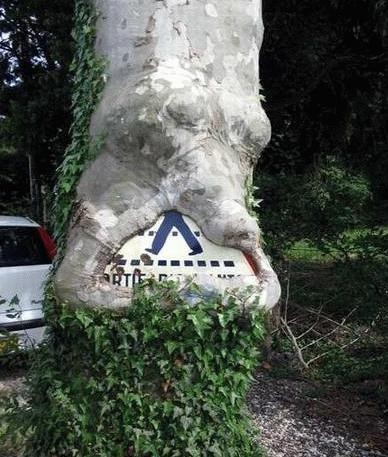 Tree Ate Sign