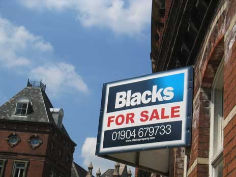 Blacks for Sale