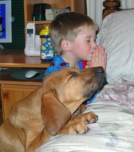 Pray Before Bedtime
