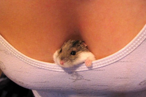 Cleavage Mouse