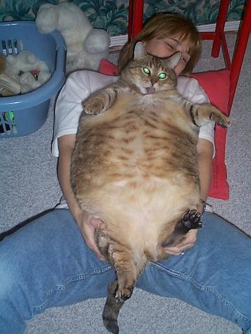 biggest cat ever!