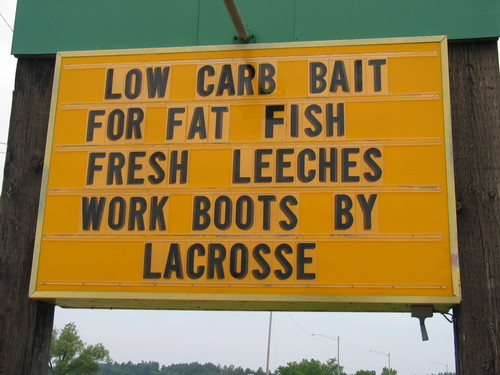 Low carb bait for fat fish