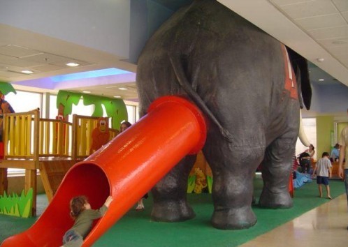 Elephant Ass Slide