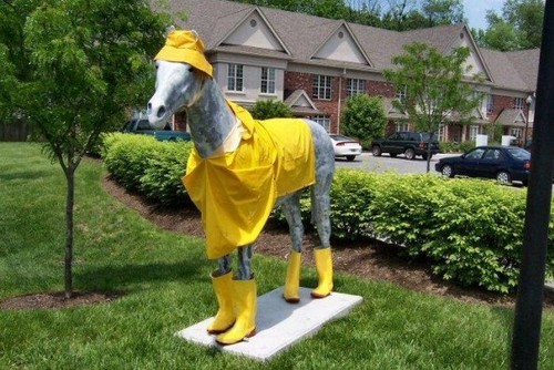 Horse Raincoat