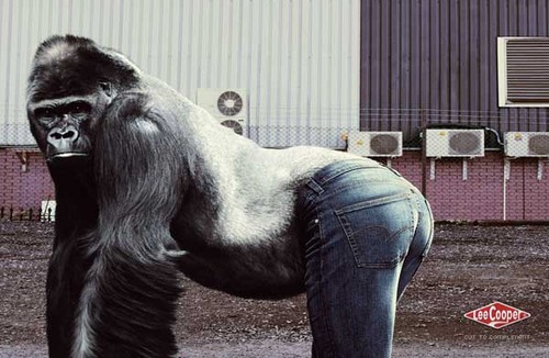 Ape In Jeans