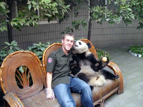 Panda Friend