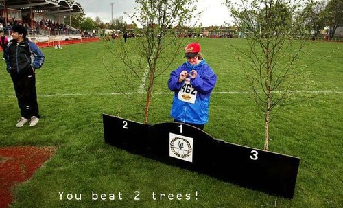 You Beat Two Trees!