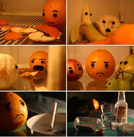 The Life of an Orange