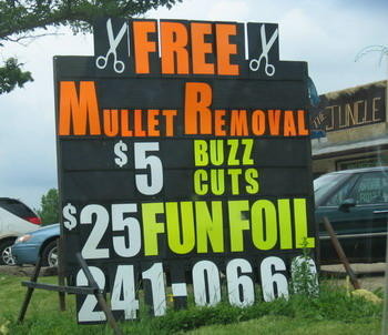 Free Mullet Removal