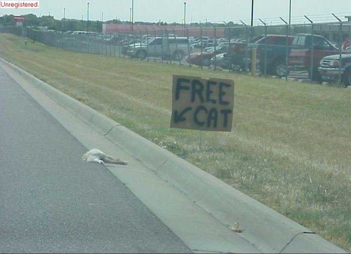 Air, love, dead cats...All the best things in life are free.