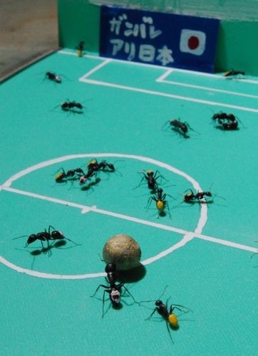 Ant Soccer