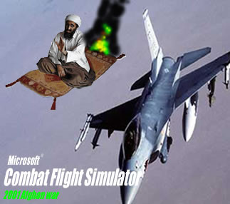 Combat Flight simulator