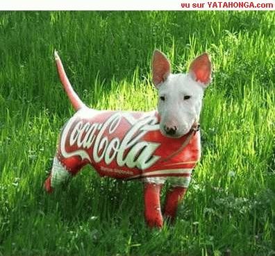Coke Dog