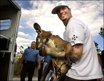 Vanilla Ice holding a kangaroo ... seriously.