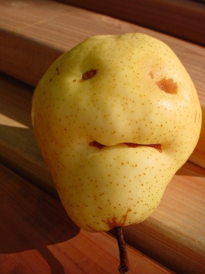 This pear looks a creepy