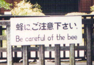... Or you might bee stung.