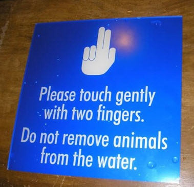 Odd Touch Sign