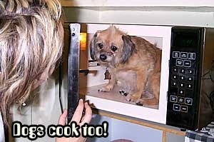 Dogs cook too!