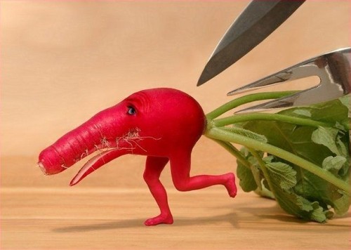 Scary Beet