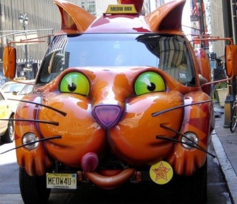 Cat car