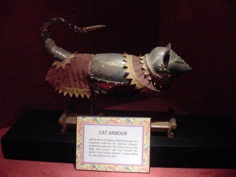 Cat Armor