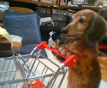 Dog Shopper