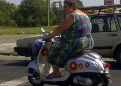 Fatty on the Scooter