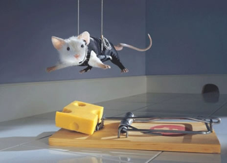 Mouse impossible.