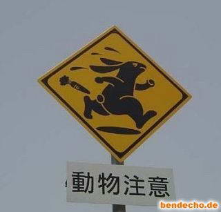 Watch For Running Rabbits