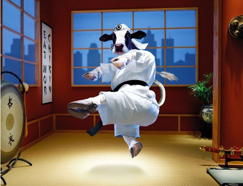 Karate Cow