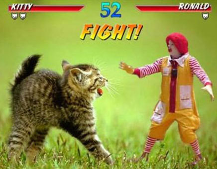 Kitten Vs Ronald