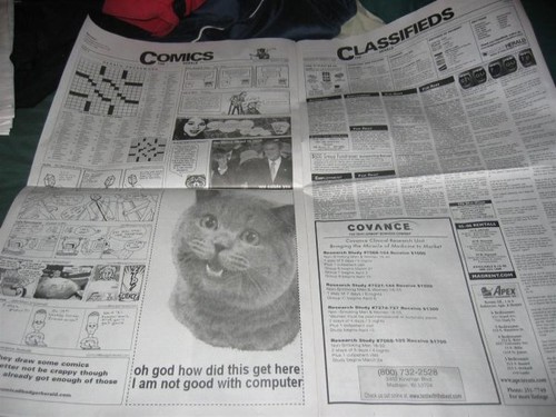 Happycat in the Paper