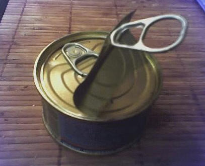 Too much work to open this can
