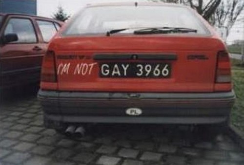 GAY license plate