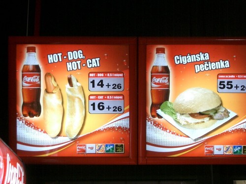 hot dogs, hot cat