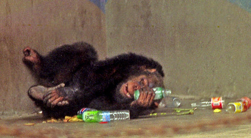 Wasted Ape
