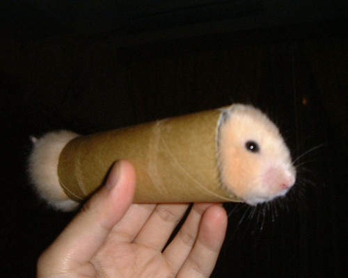 hamster roll