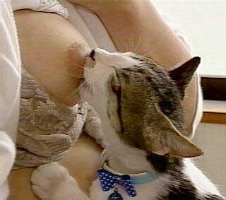 Cat and womens breast