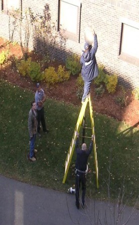 how many city workers does it take to change  a lightbulb