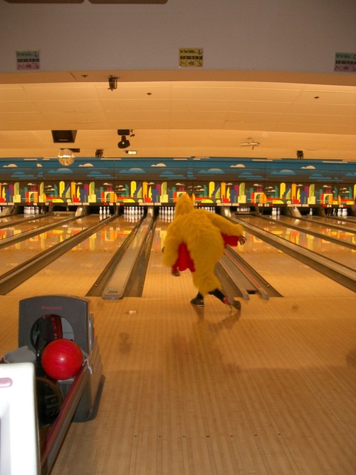 chickens like to bowl too, right?
